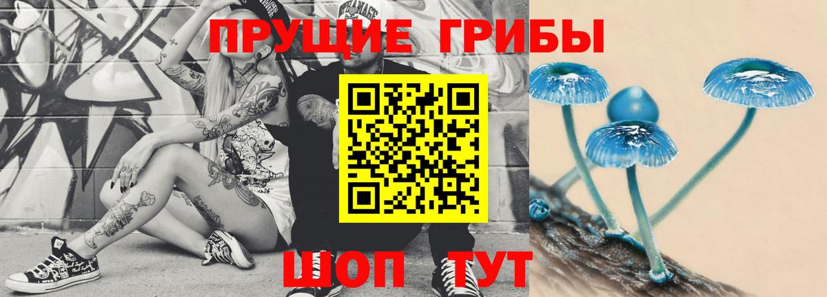 Псилоцибиновые грибы ЛСД  Галлюциногенные грибы мицелий  купить  сайты  Лениногорск  Вход с VPN 
